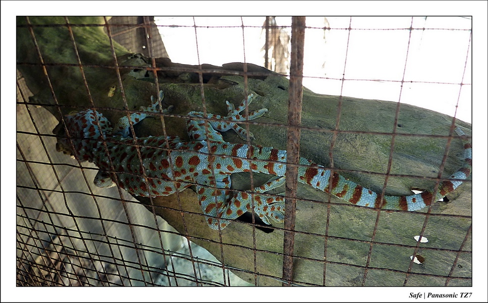 2012 - 03 - Koh Lanta 26